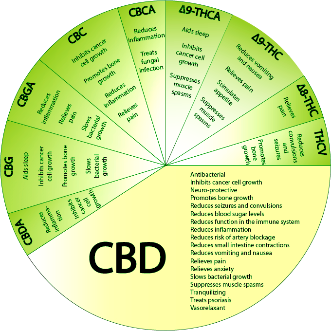https://idrasil.com/wp-content/uploads/2018/04/GreenPieChart-1-680x680.png